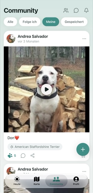 Community-Feed mit Fotos und Videos