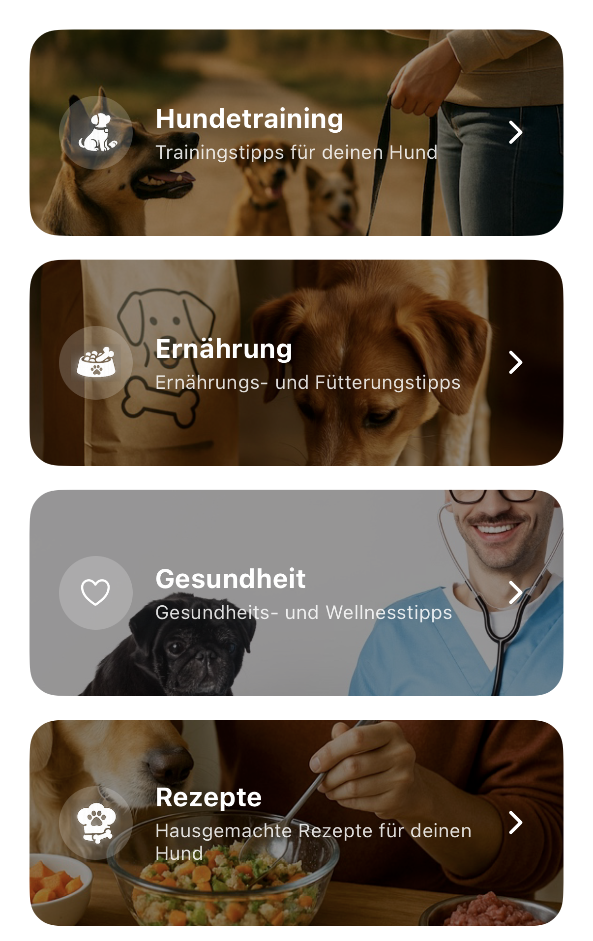 Themen-Kategorien im KI-Chat